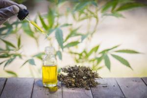 Effects Of CBD On Liver 