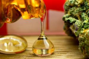 CBD Clinical Trials