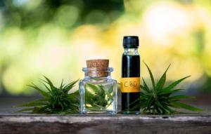 Uses Of CBD Creams